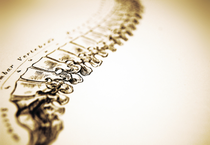 NUCCA Redmond Chiropractic